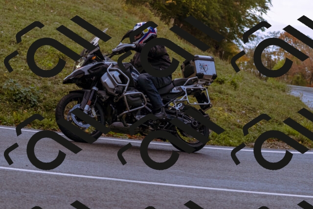 202510181146-_DSC1450_d1_