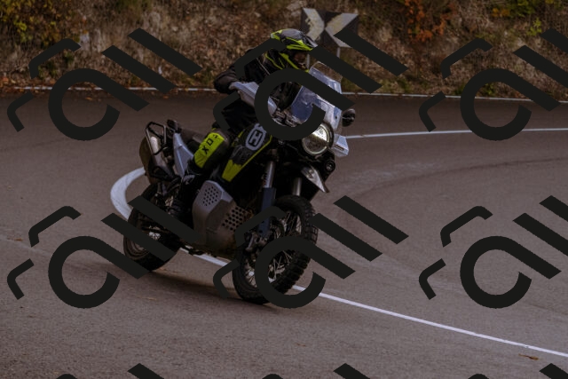 202510181155-_DSC1453_d1_