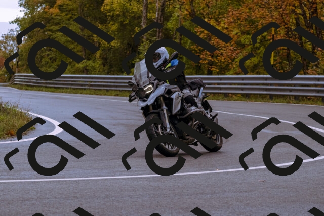 202510181209-_DSC1455_d1_