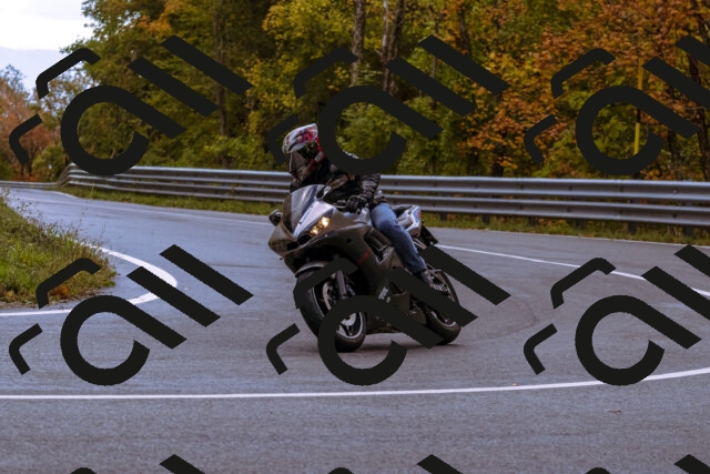 202510181209-_DSC1459_d1_