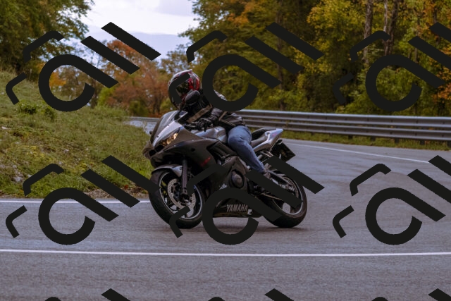 202510181209-_DSC1460_d1_