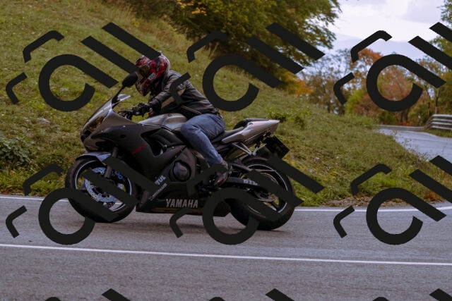 202510181209-_DSC1461_d1_