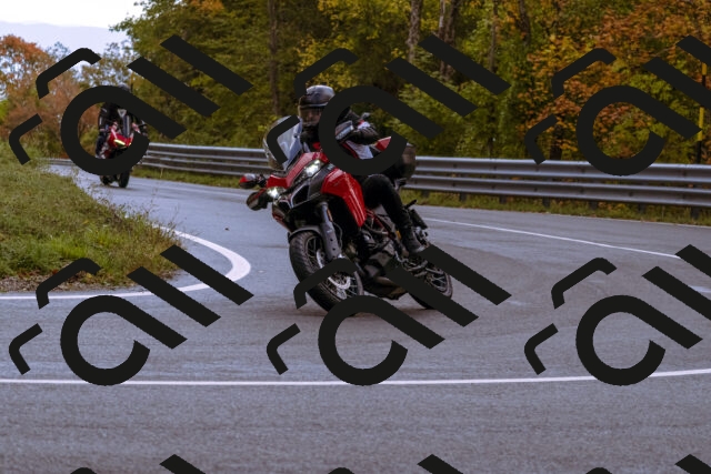 202510181216-_DSC1470_d1_