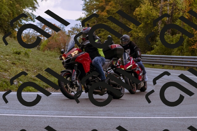 202510181216-_DSC1473_d1_