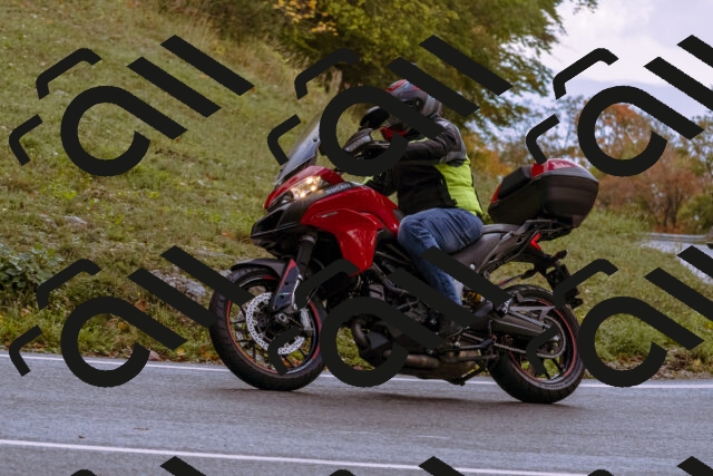 202510181216-_DSC1474_d1_