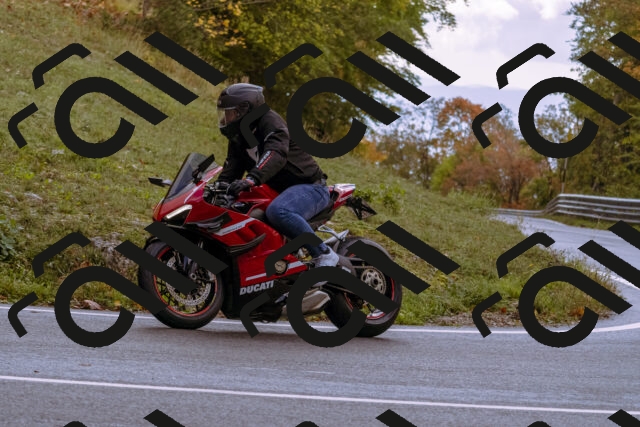 202510181216-_DSC1475_d1_