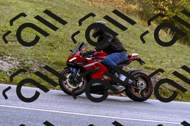 202510181216-_DSC1476_d1_