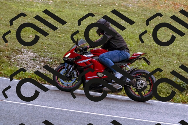 202510181216-_DSC1477_d1_