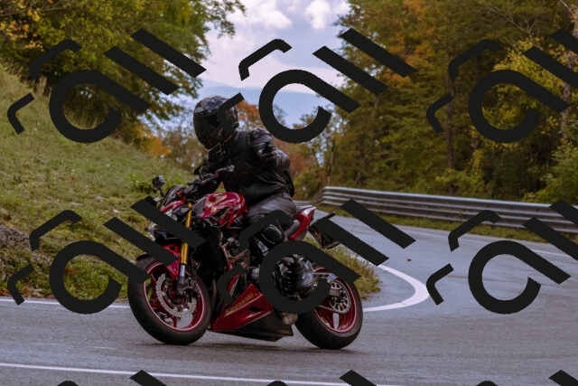 202510181216-_DSC1478_d1_