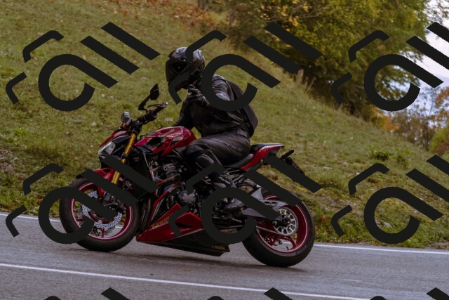 202510181216-_DSC1479_d1_