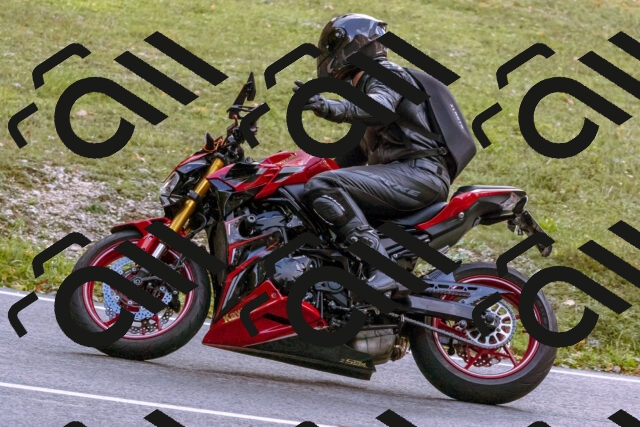 202510181216-_DSC1480_d1_