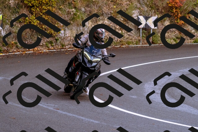 202510181218-_DSC1484_d1_