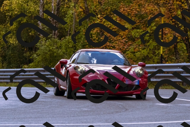 202510181220-_DSC1486_d1_