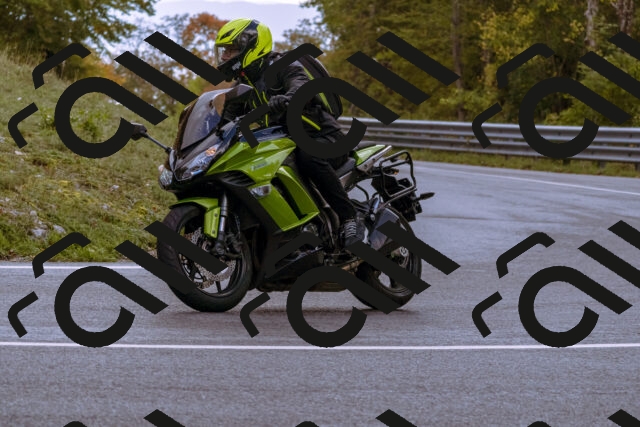 202510181222-_DSC1496_d1_