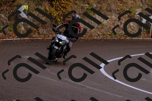 202510181223-_DSC1500_d1_