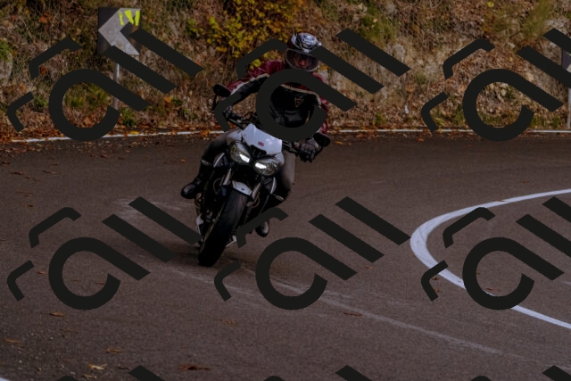 202510181223-_DSC1501_d1_