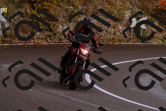 202510181223-_DSC1502_d1_