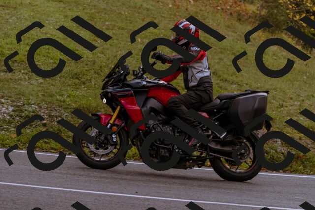 202510181224-_DSC1508_d1_