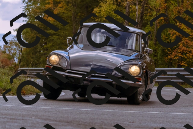 202510181228-_DSC1510_d1_