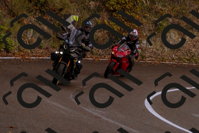 202510181230-_DSC1512_d1_