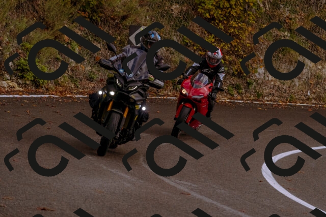 202510181230-_DSC1513_d1_