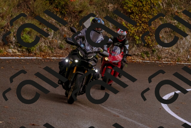 202510181230-_DSC1514_d1_