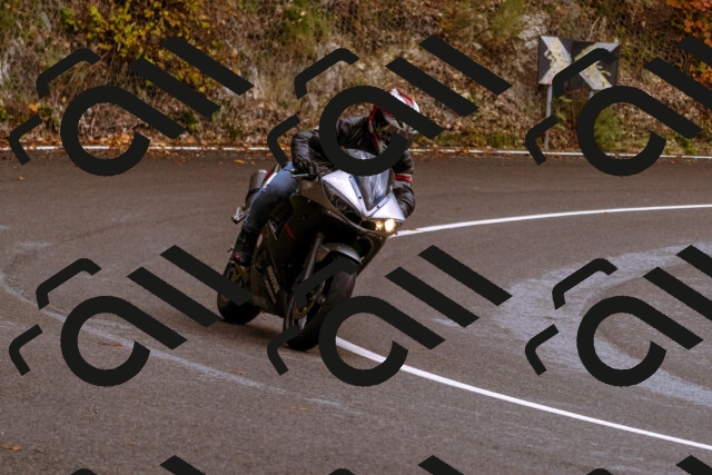 202510181235-_DSC1516_d1_