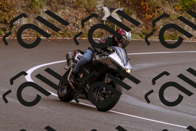 202510181235-_DSC1517_d1_