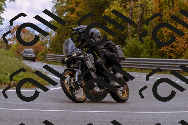 202510181236-_DSC1519_d1_