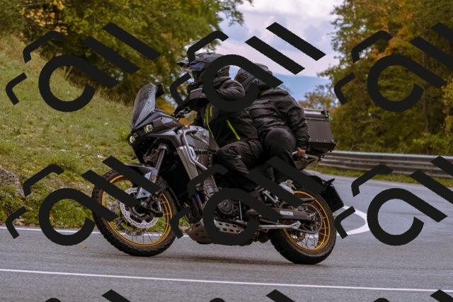 202510181236-_DSC1520_d1_