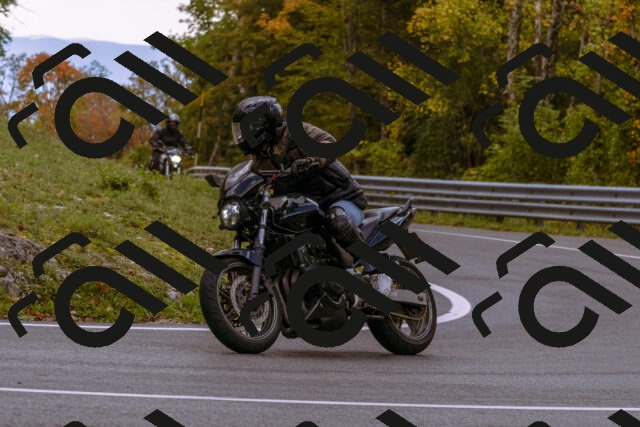 202510181258-_DSC1528_d1_