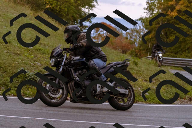 202510181258-_DSC1529_d1_