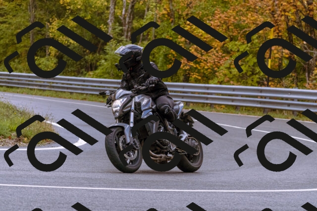 202510181258-_DSC1530_d1_