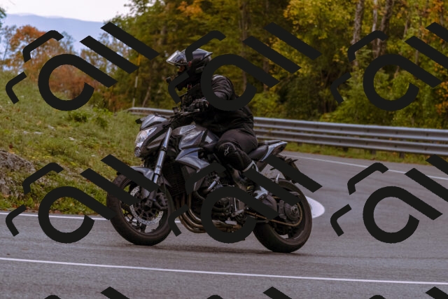 202510181258-_DSC1531_d1_