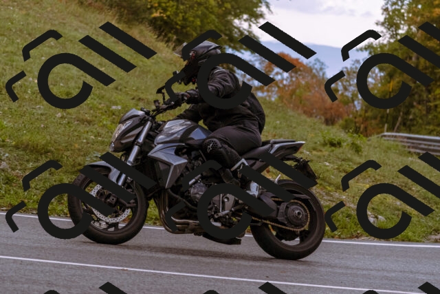 202510181258-_DSC1532_d1_