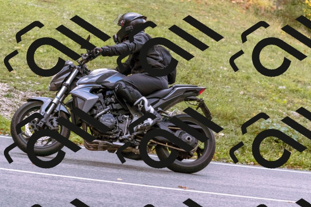 202510181258-_DSC1533_d1_