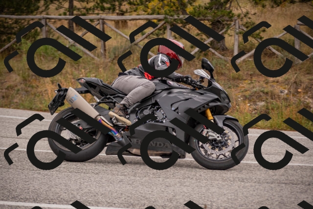 20251019111336-_5000265_am_