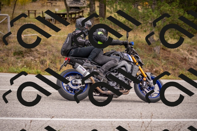 20251019113050-_5000315_am_