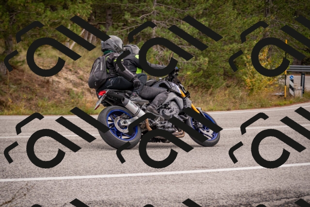 20251019113050-_5000316_am_