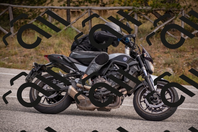 20251019115153-_5000394_am_