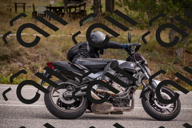 20251019115153-_5000395_am_