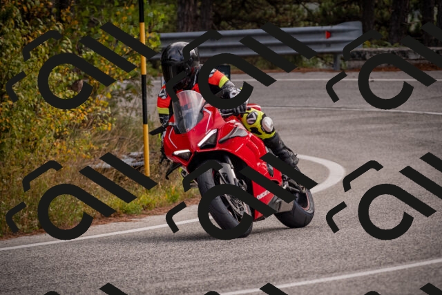 20251019115338-_5000403_am_