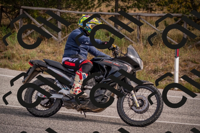 20251019120150-_5000422_am_