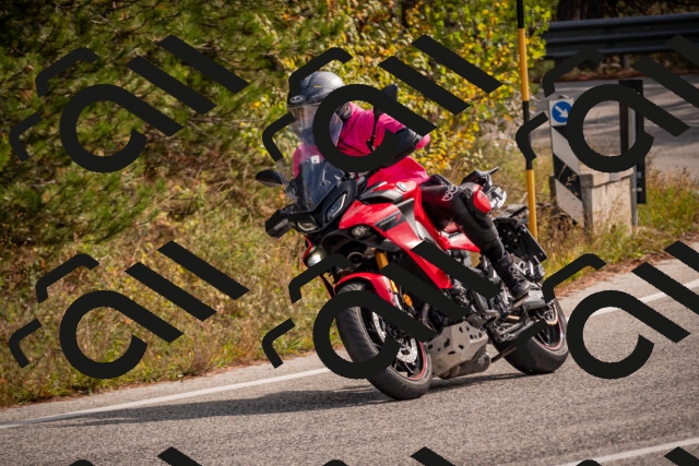 20251019120559-_5000436_am_