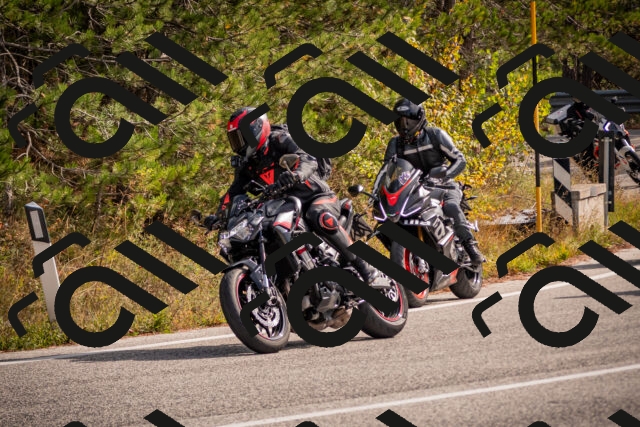 20251019120806-_5000456_am_