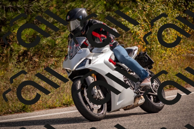 20251019120829-_5000469_am_