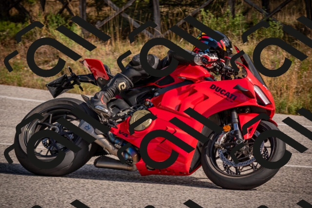 20251019121809-_5000510_am_