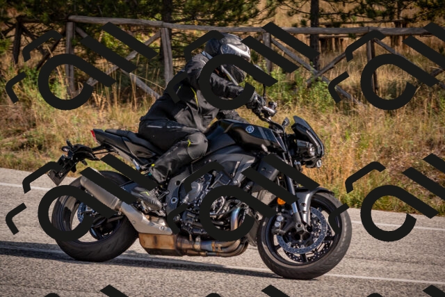 20251019121821-_5000521_am_