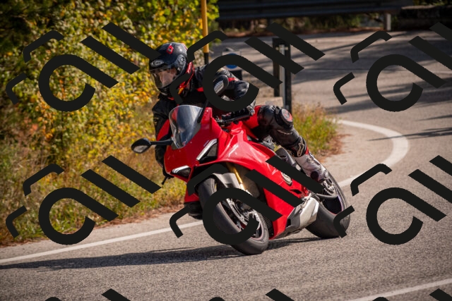 20251019121854-_5000528_am_