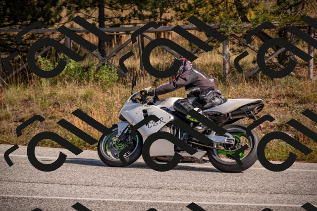 20251019122844-_5000568_am_